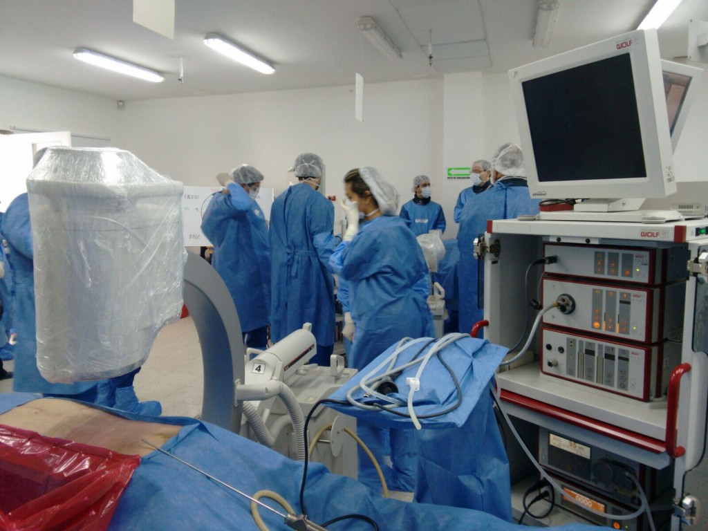 Treinamento em cirurgia de hÃ©rnia de disco - CLEMI - BogotÃ¡
